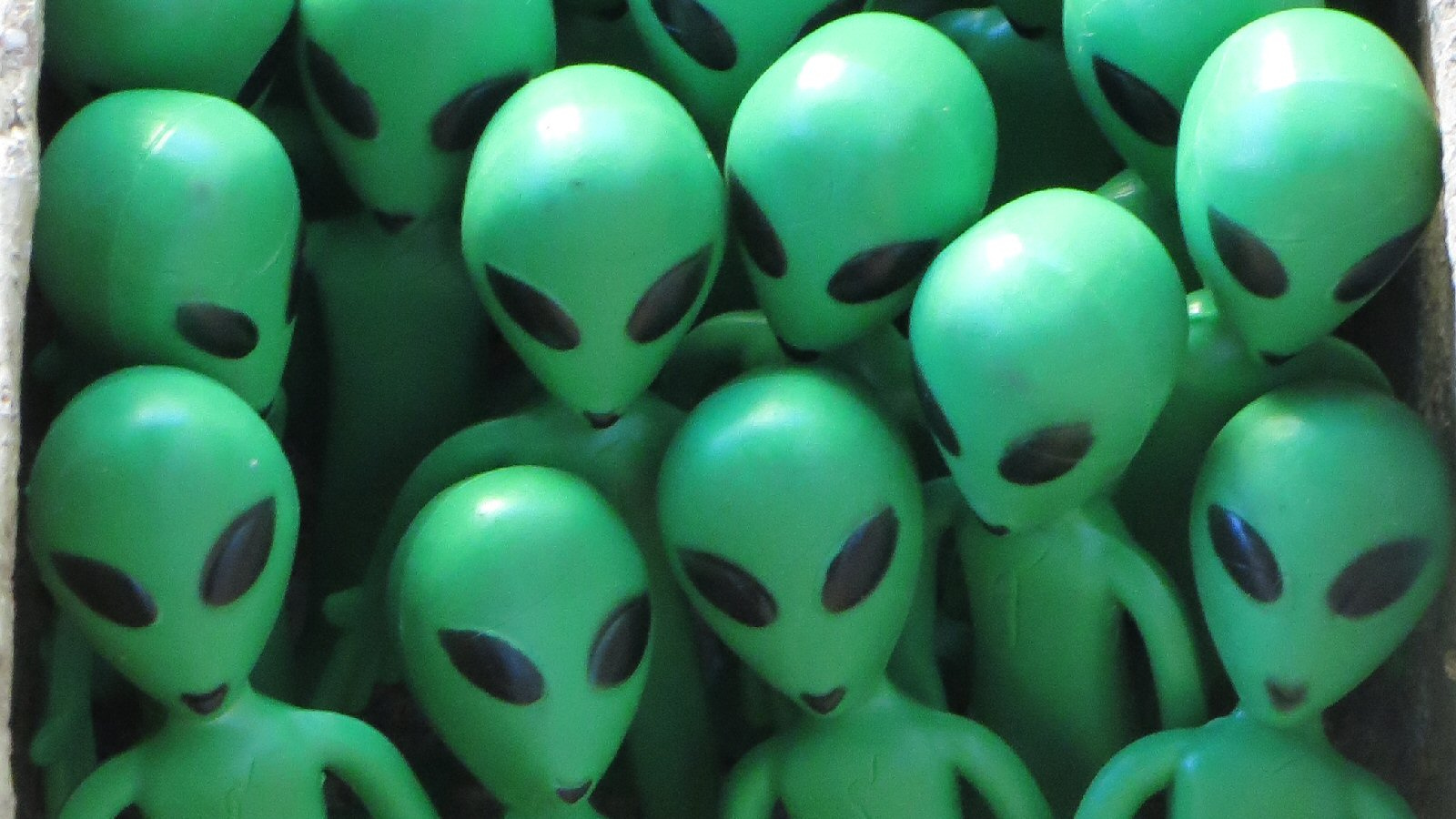 Detail Images Of Alien Nomer 35
