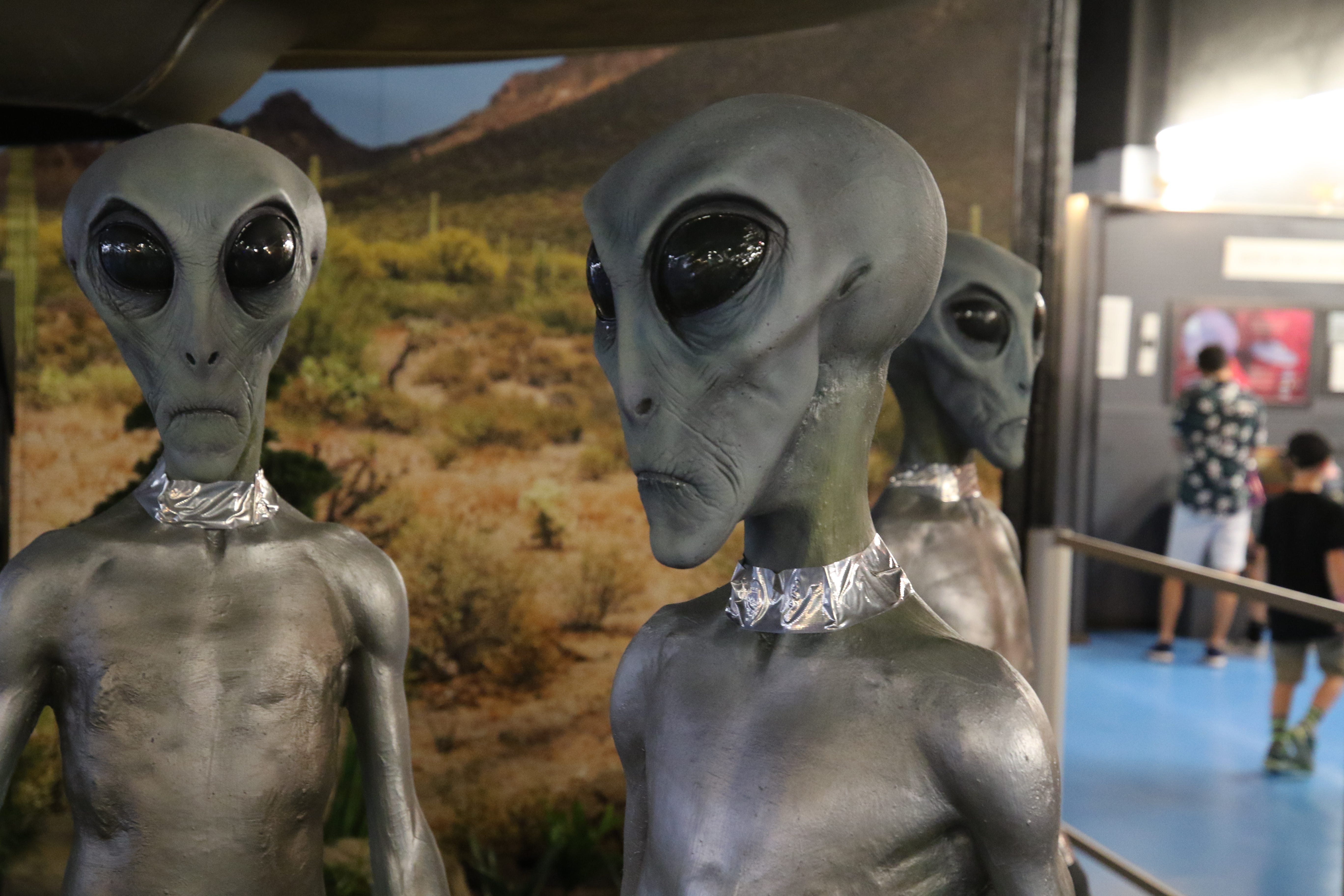 Detail Images Of Alien Nomer 40
