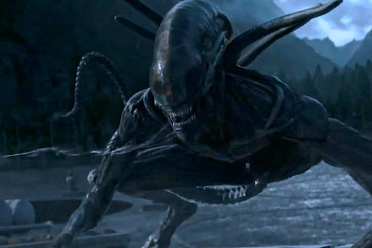 Detail Images Of Alien Nomer 45