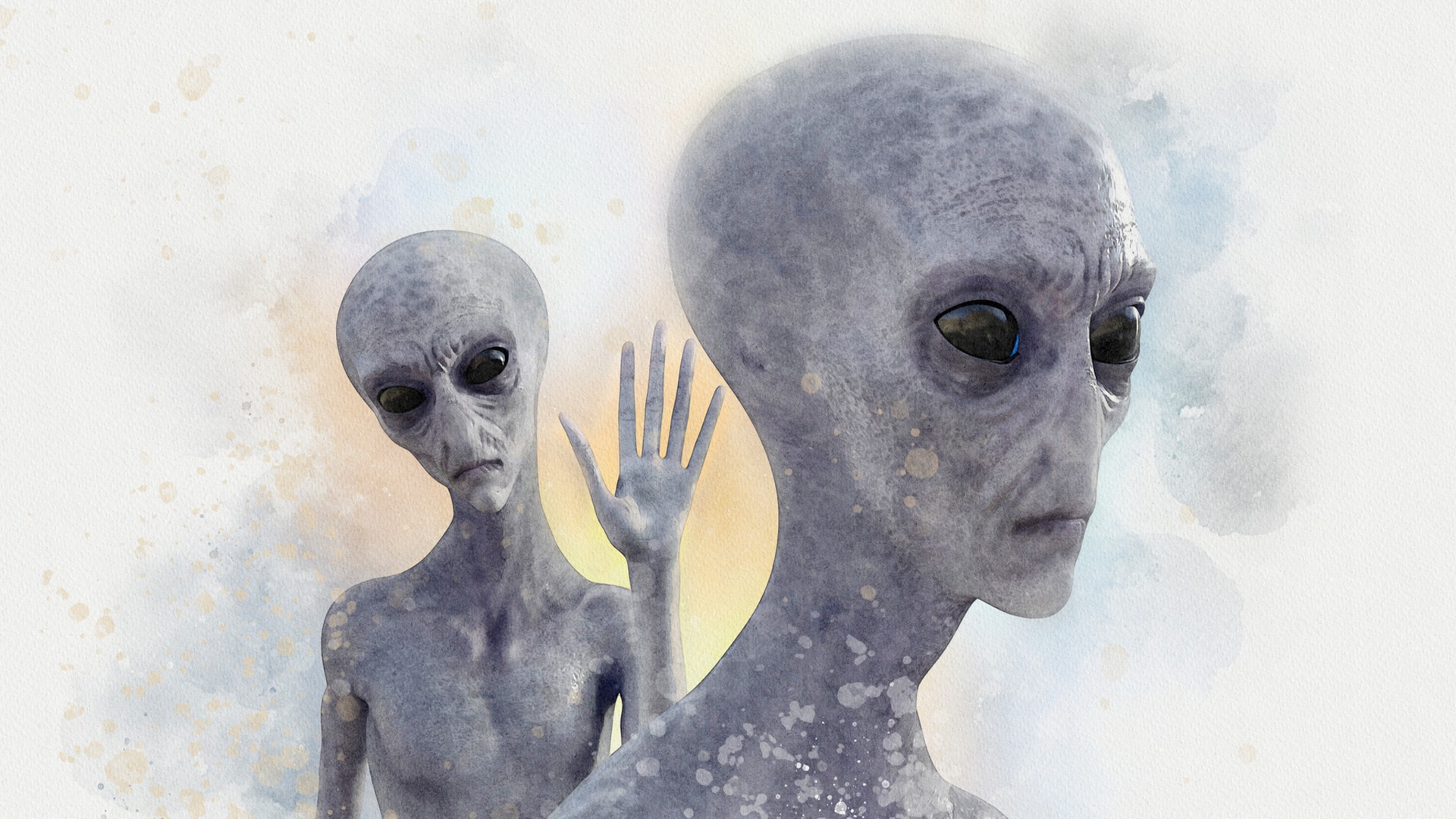 Detail Images Of Alien Nomer 56