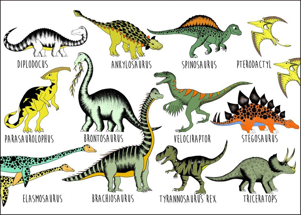 Images Of All Dinosaurs - KibrisPDR