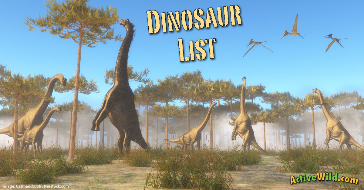 Detail Images Of All Dinosaurs Nomer 20