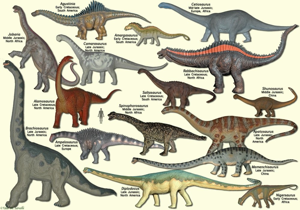 Detail Images Of All Dinosaurs Nomer 33