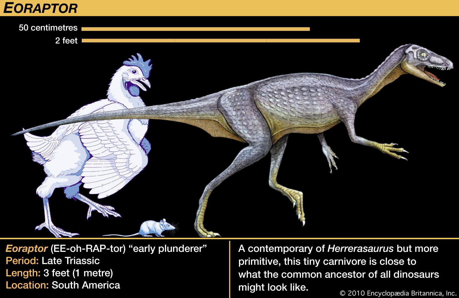 Detail Images Of All Dinosaurs Nomer 42