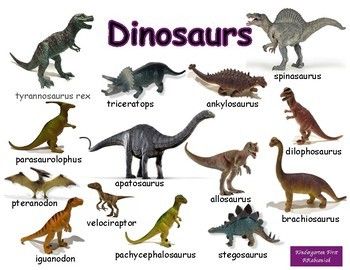 Detail Images Of All Dinosaurs Nomer 6