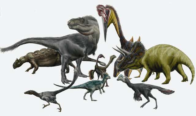 Detail Images Of All Dinosaurs Nomer 48