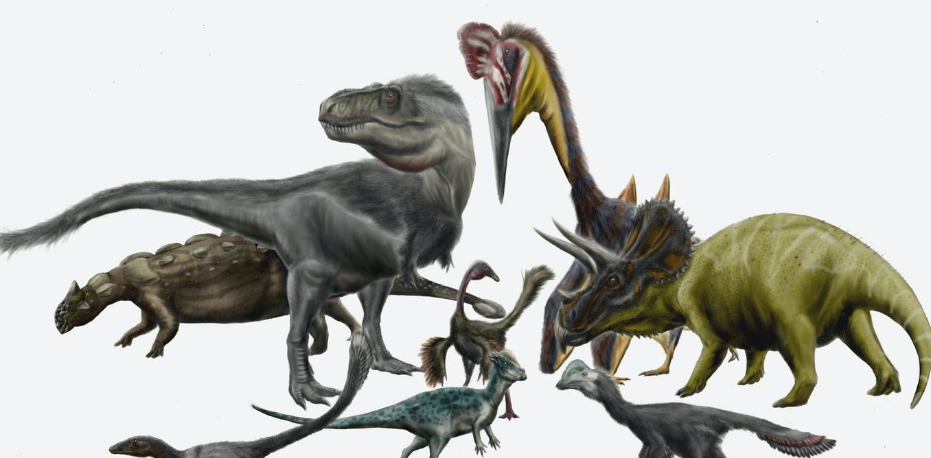 Detail Images Of All Dinosaurs Nomer 54