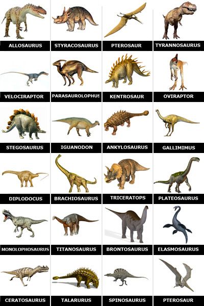 Detail Images Of All Dinosaurs Nomer 9