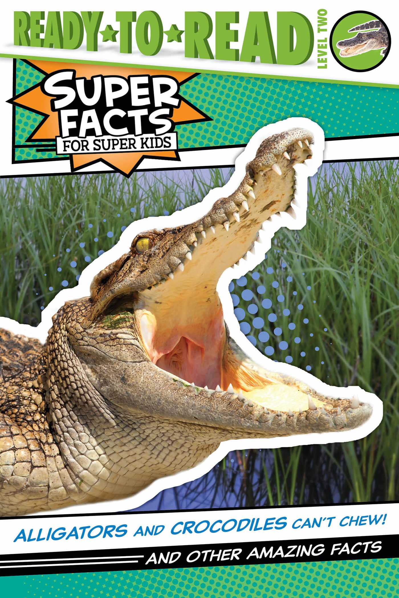 Detail Images Of Alligators And Crocodiles Nomer 50