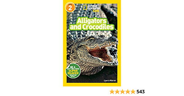 Detail Images Of Alligators And Crocodiles Nomer 53