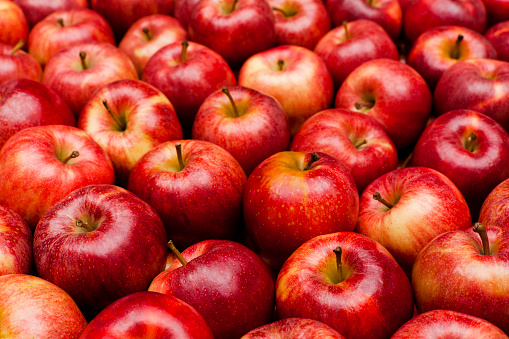 Detail Images Of An Apple Nomer 15