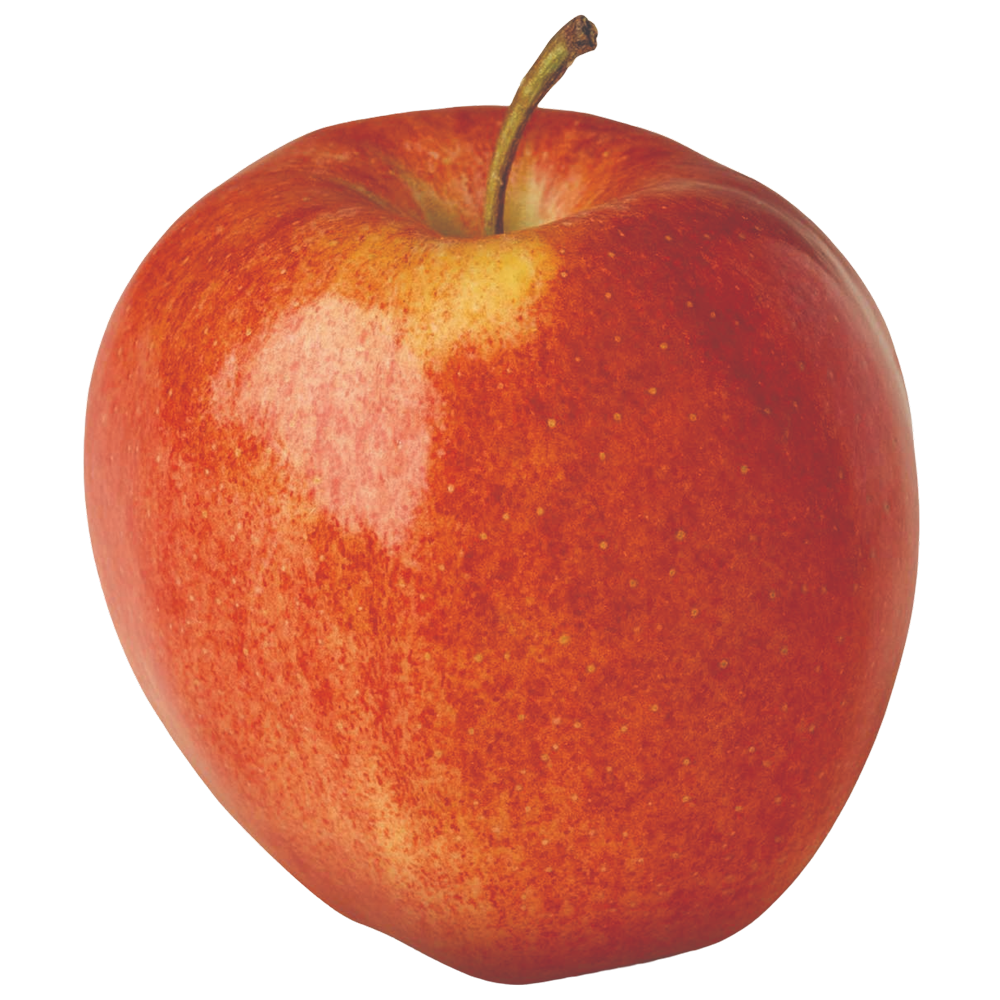Detail Images Of An Apple Nomer 19