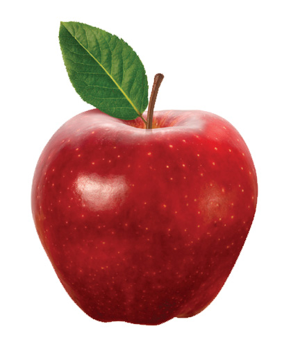Detail Images Of An Apple Nomer 52