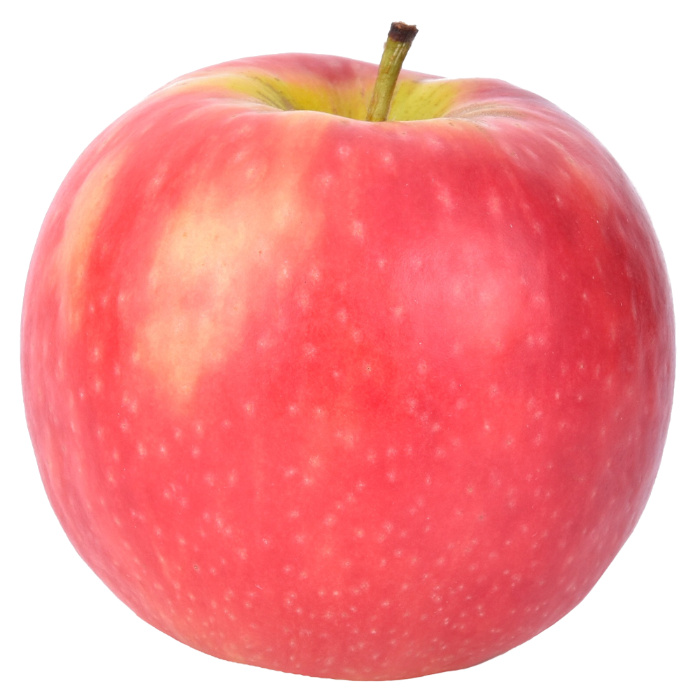 Detail Images Of An Apple Nomer 10