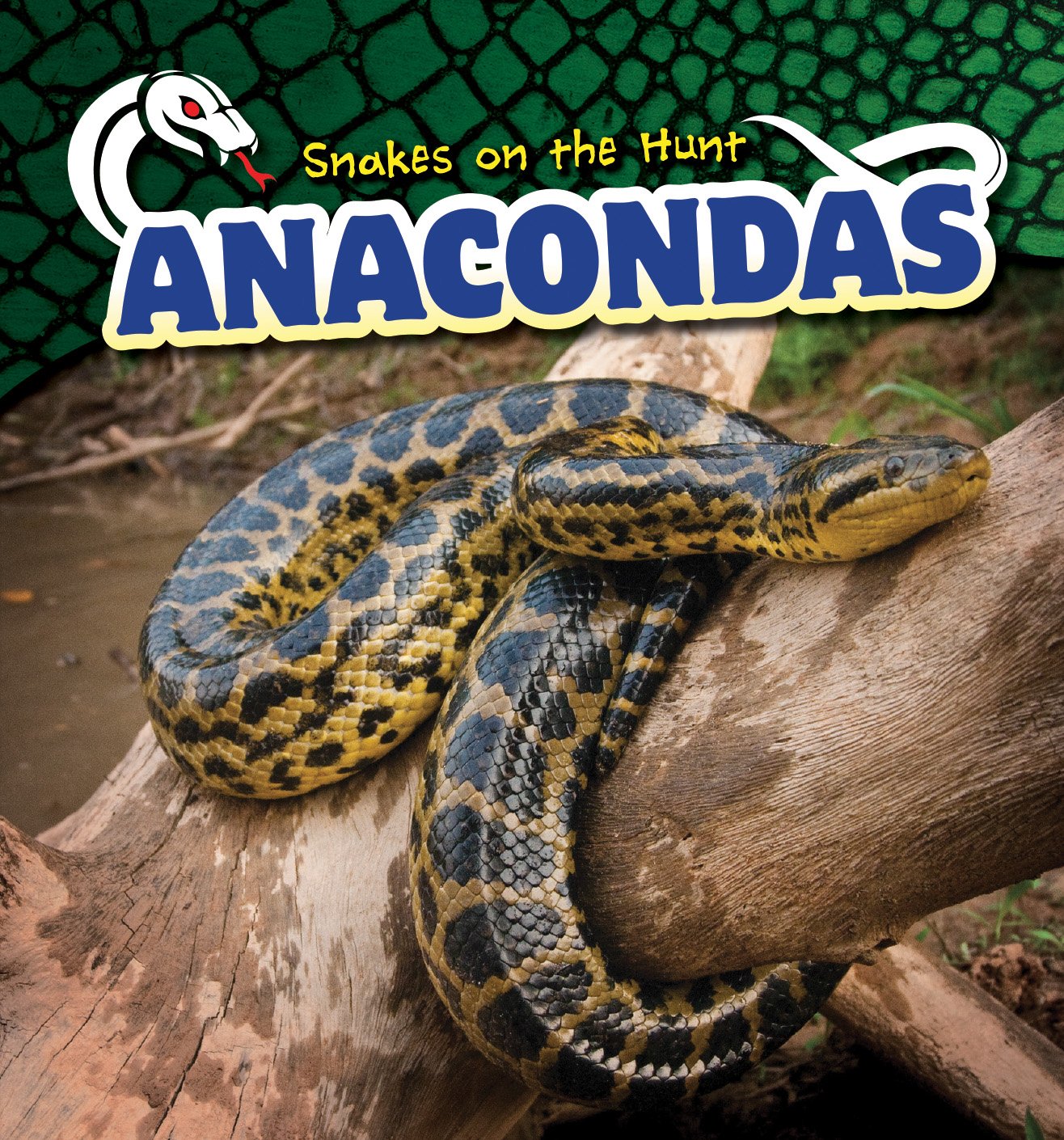 Detail Images Of Anacondas Nomer 44