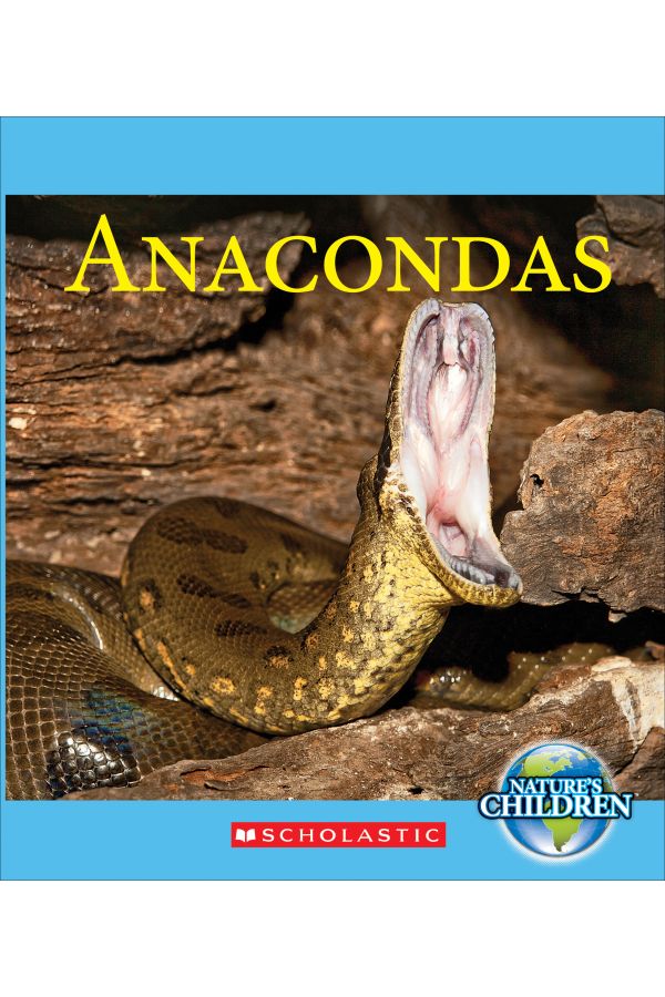 Detail Images Of Anacondas Nomer 55