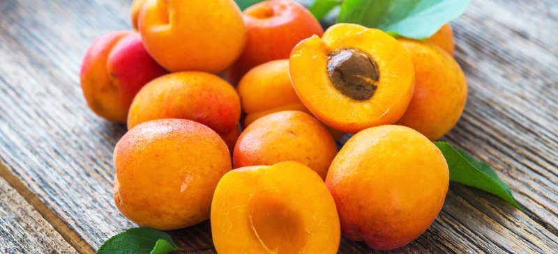 Detail Images Of Apricots Nomer 28