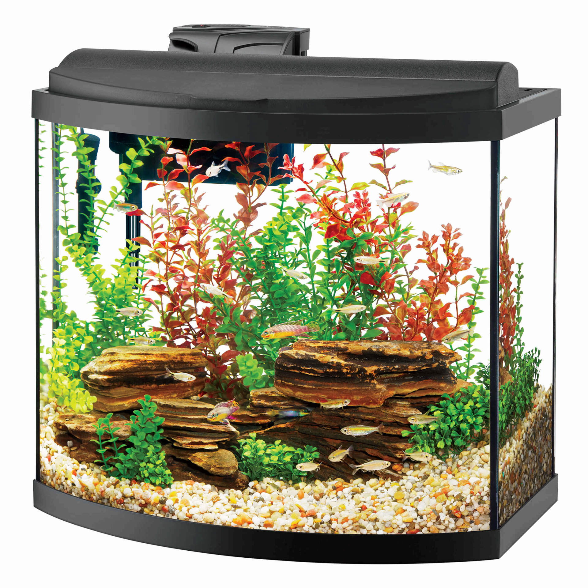 Detail Images Of Aquarium Nomer 44