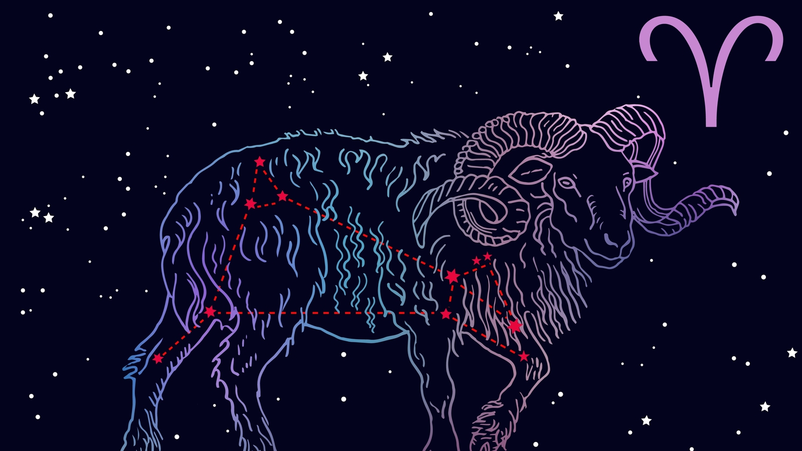 Detail Images Of Aries Nomer 19