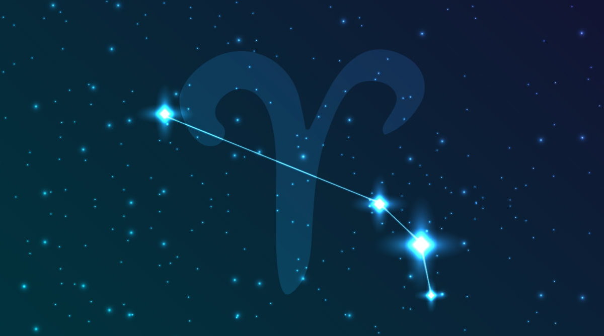 Detail Images Of Aries Nomer 20