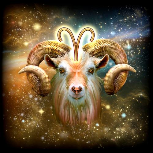 Detail Images Of Aries Nomer 21