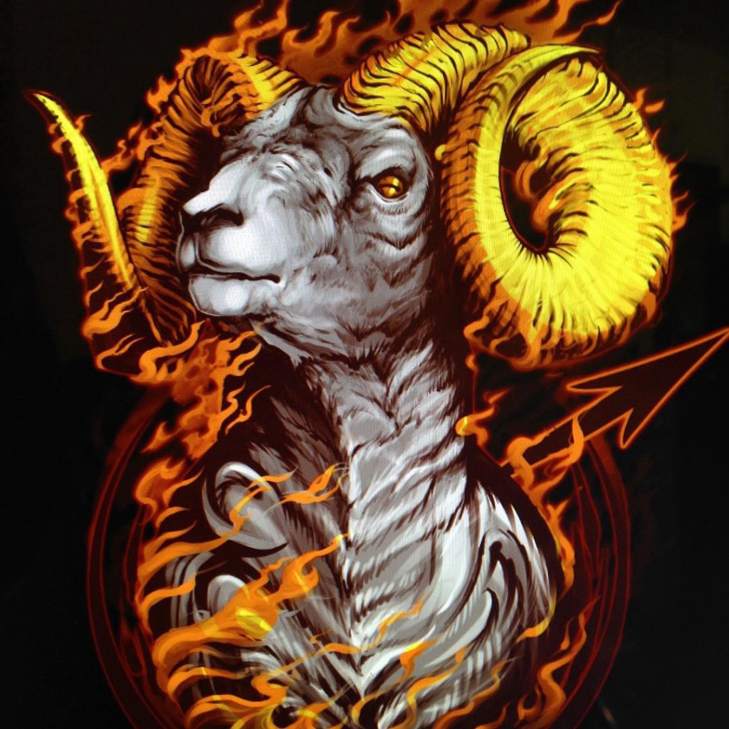 Detail Images Of Aries Nomer 22