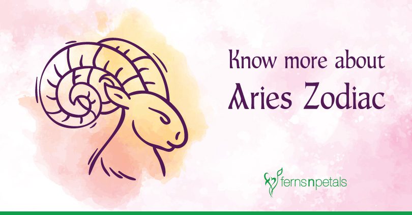 Detail Images Of Aries Nomer 23