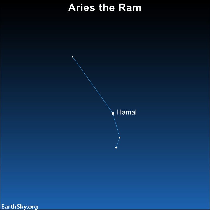 Detail Images Of Aries Nomer 28