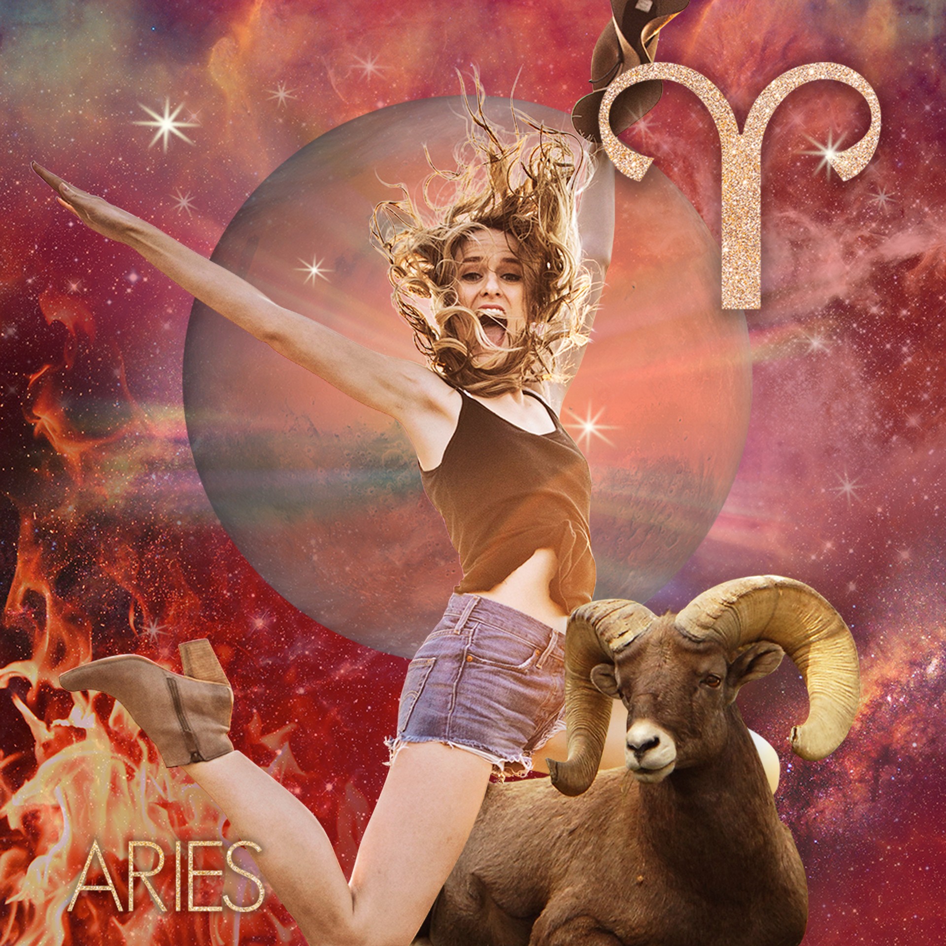 Detail Images Of Aries Nomer 29