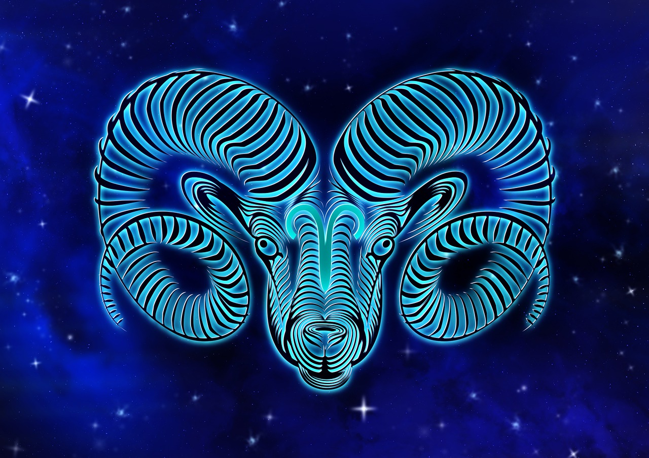 Detail Images Of Aries Nomer 4