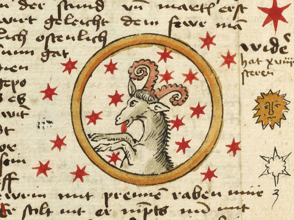 Detail Images Of Aries Nomer 40