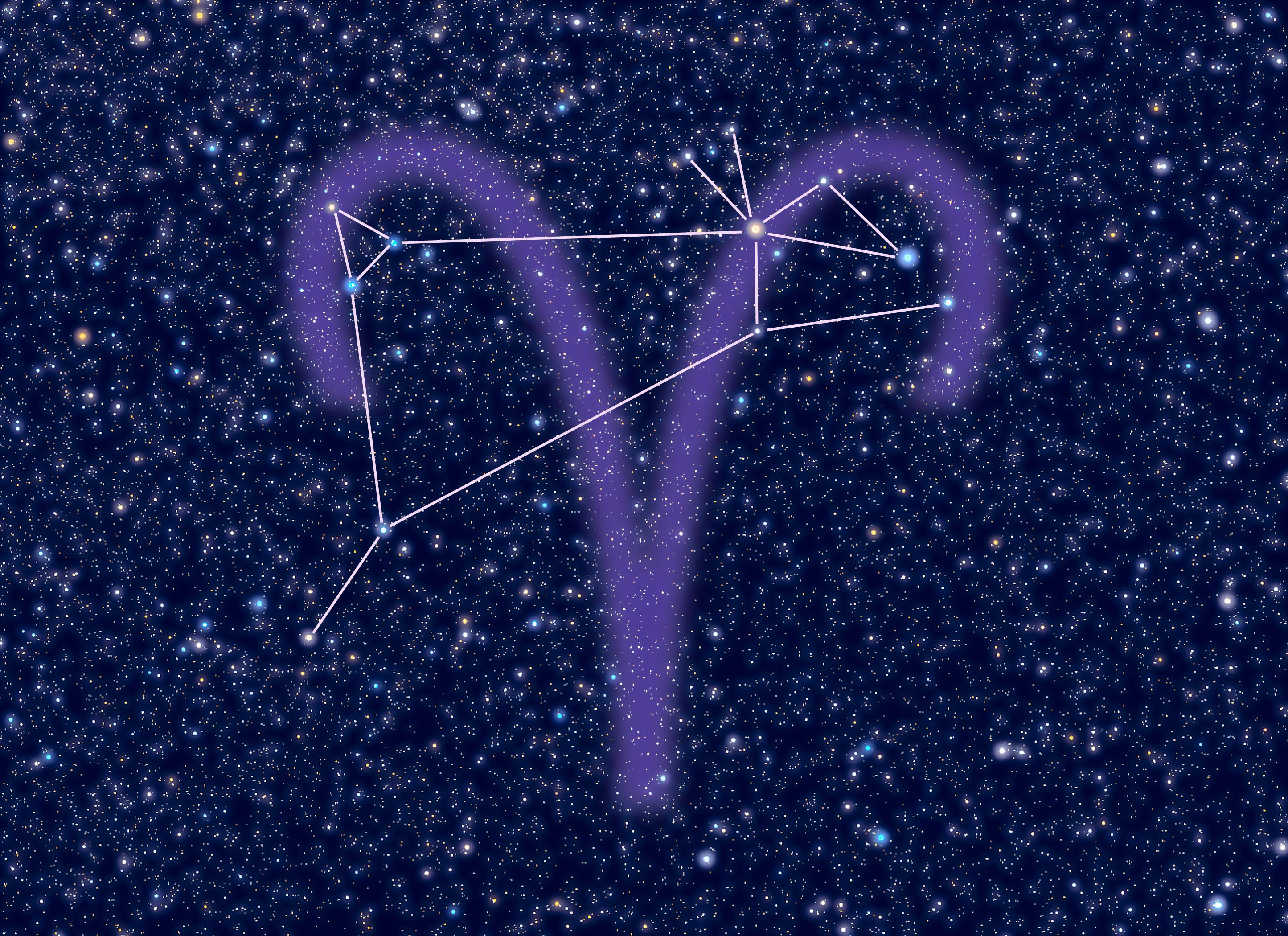 Detail Images Of Aries Nomer 41