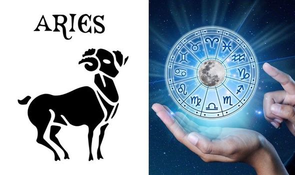 Detail Images Of Aries Nomer 43