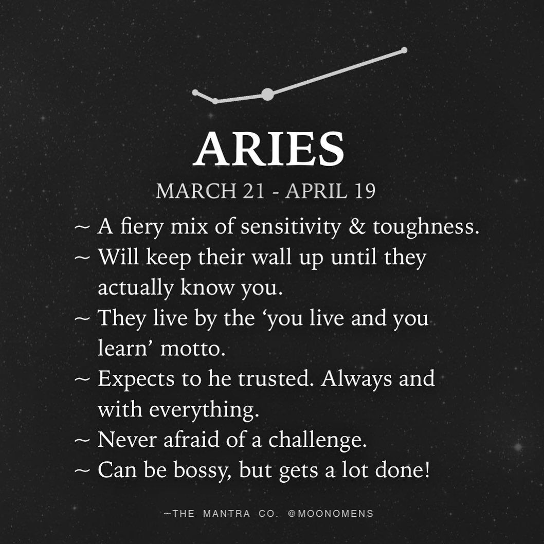 Detail Images Of Aries Nomer 48