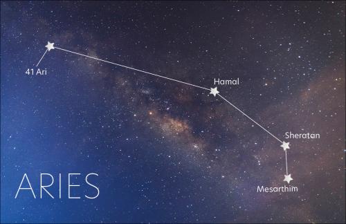 Detail Images Of Aries Nomer 54