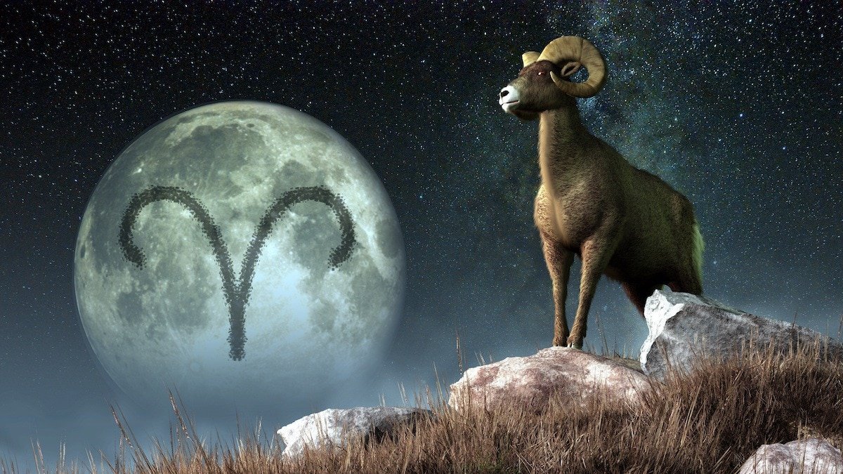 Detail Images Of Aries Nomer 9