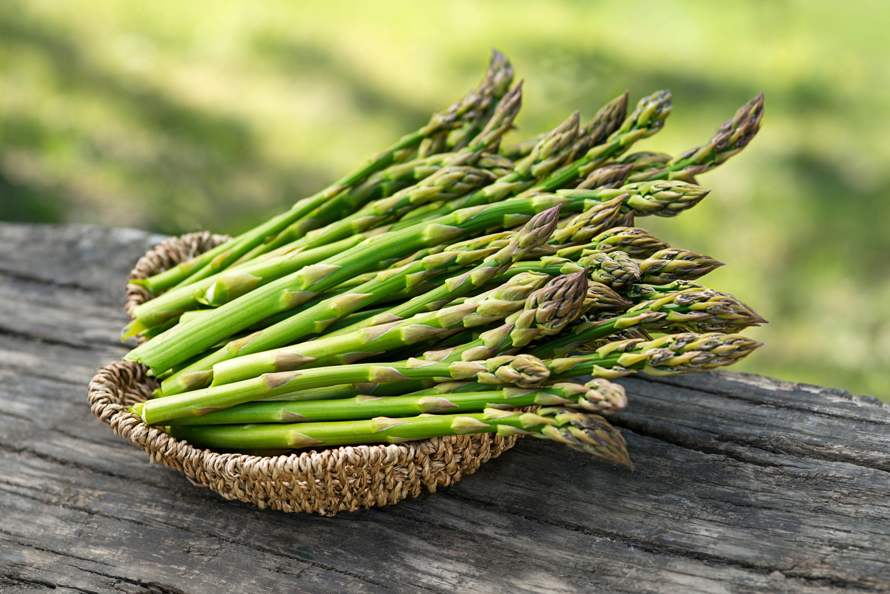 Detail Images Of Asparagus Nomer 7