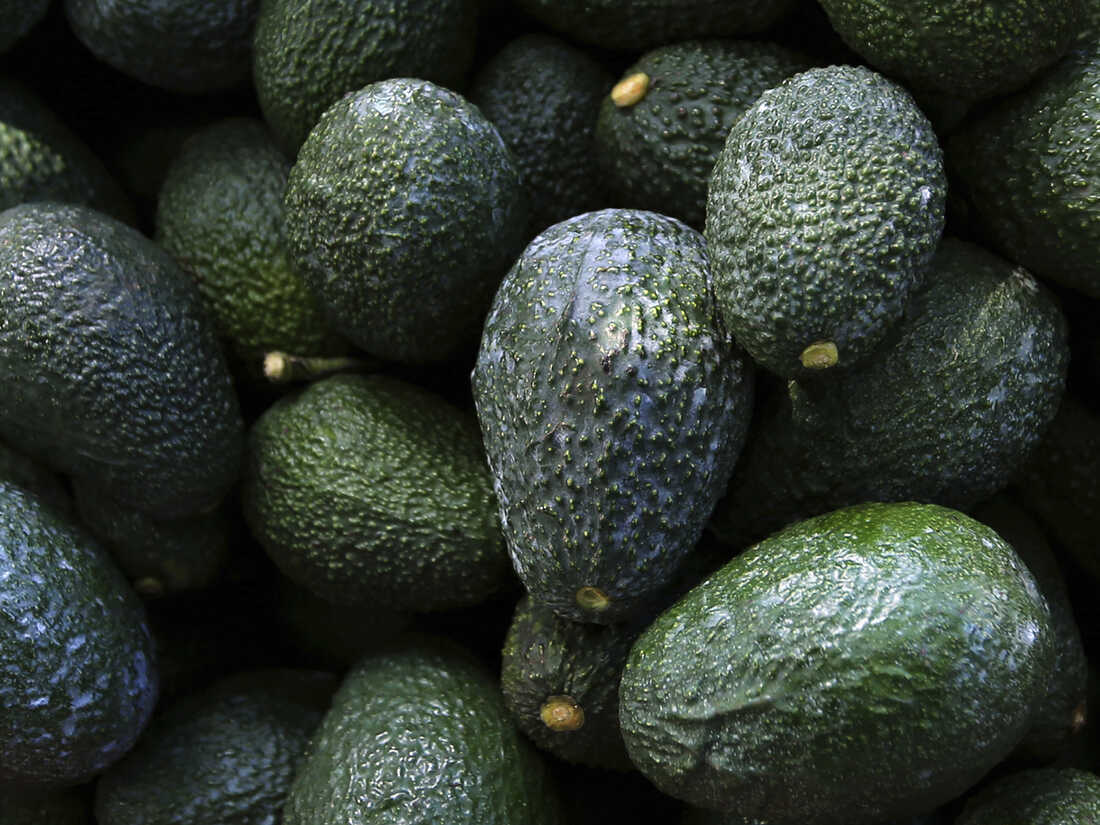 Detail Images Of Avocado Nomer 15
