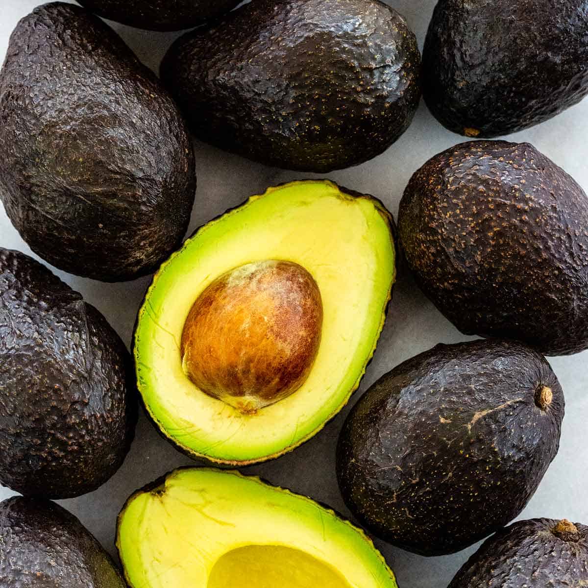 Detail Images Of Avocado Nomer 21