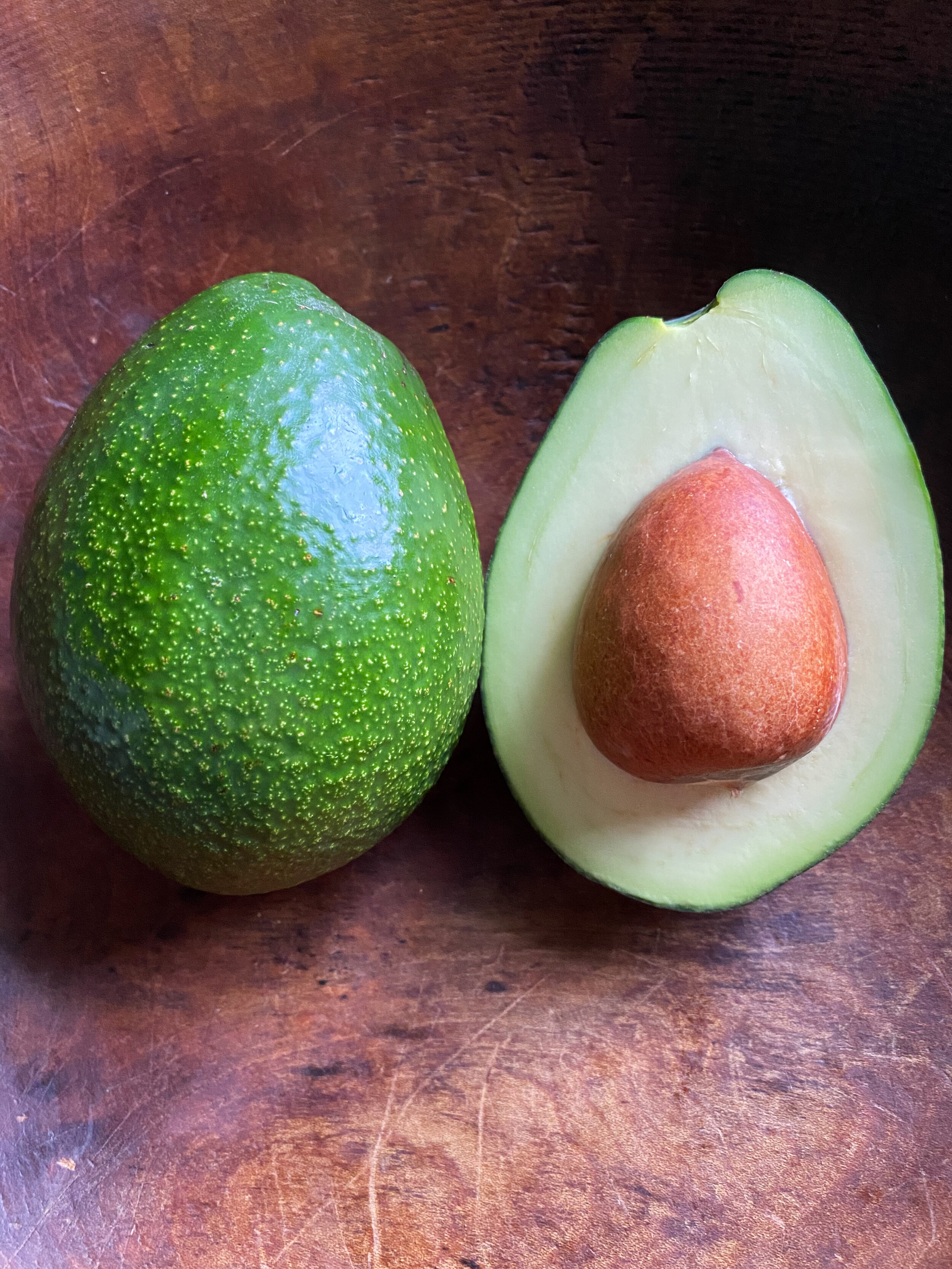 Detail Images Of Avocados Nomer 26