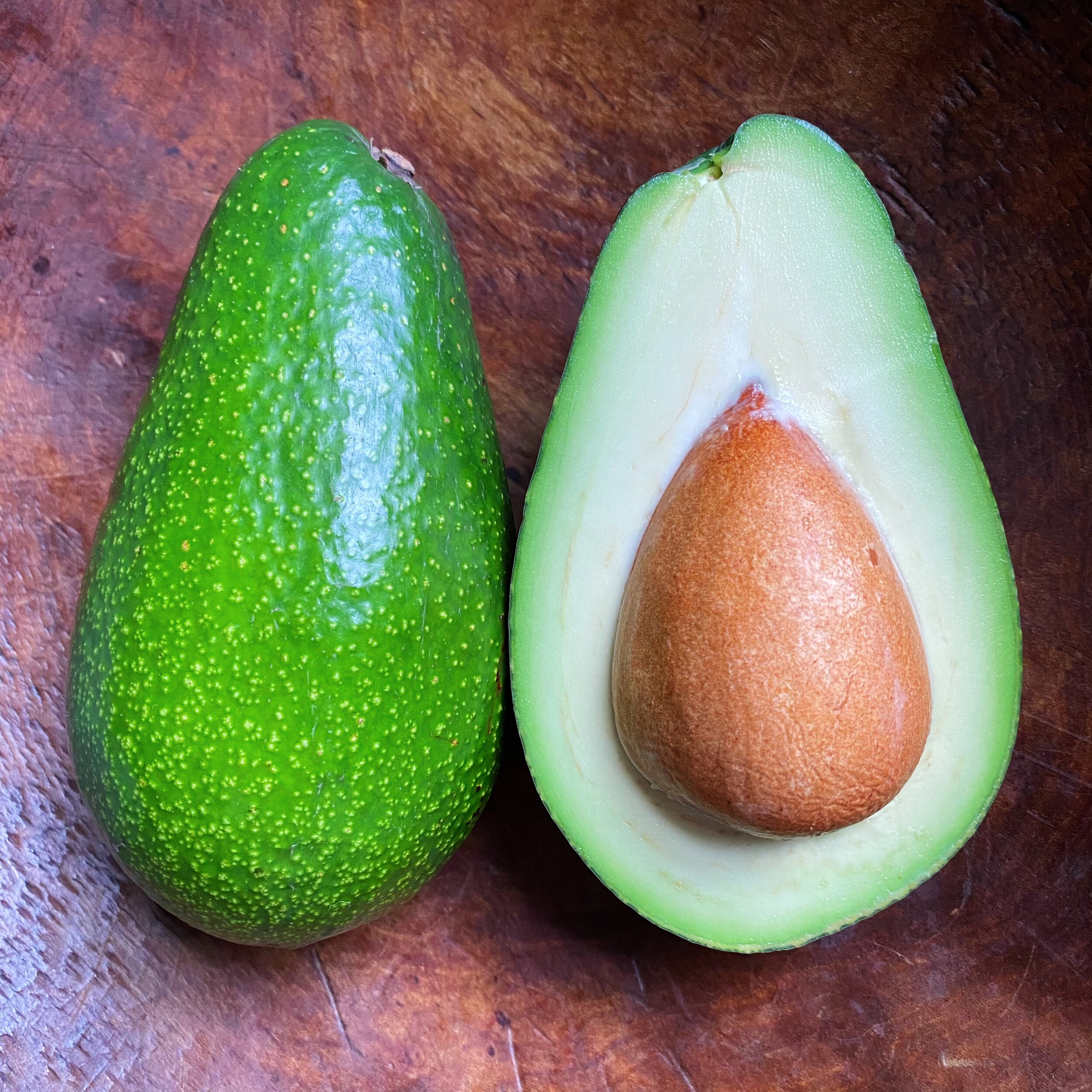 Detail Images Of Avocados Nomer 58