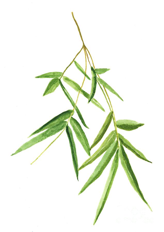 Detail Images Of Bamboo Leaves Nomer 19