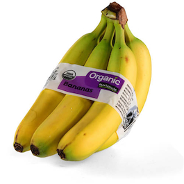 Detail Images Of Bananas Nomer 46