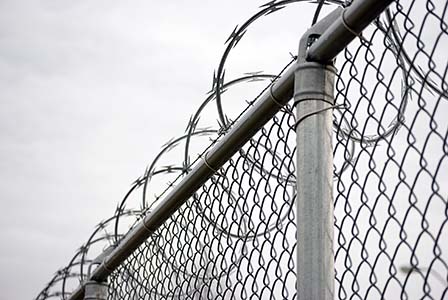 Detail Images Of Barbed Wire Fences Nomer 12