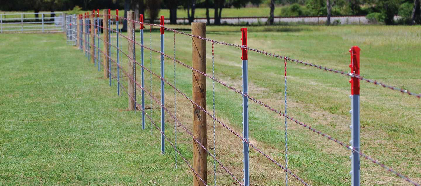 Detail Images Of Barbed Wire Fences Nomer 6