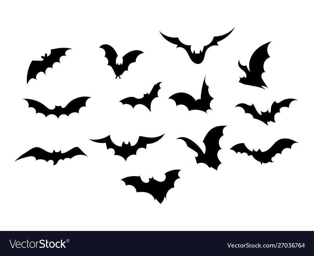 Detail Images Of Bats Flying Nomer 24