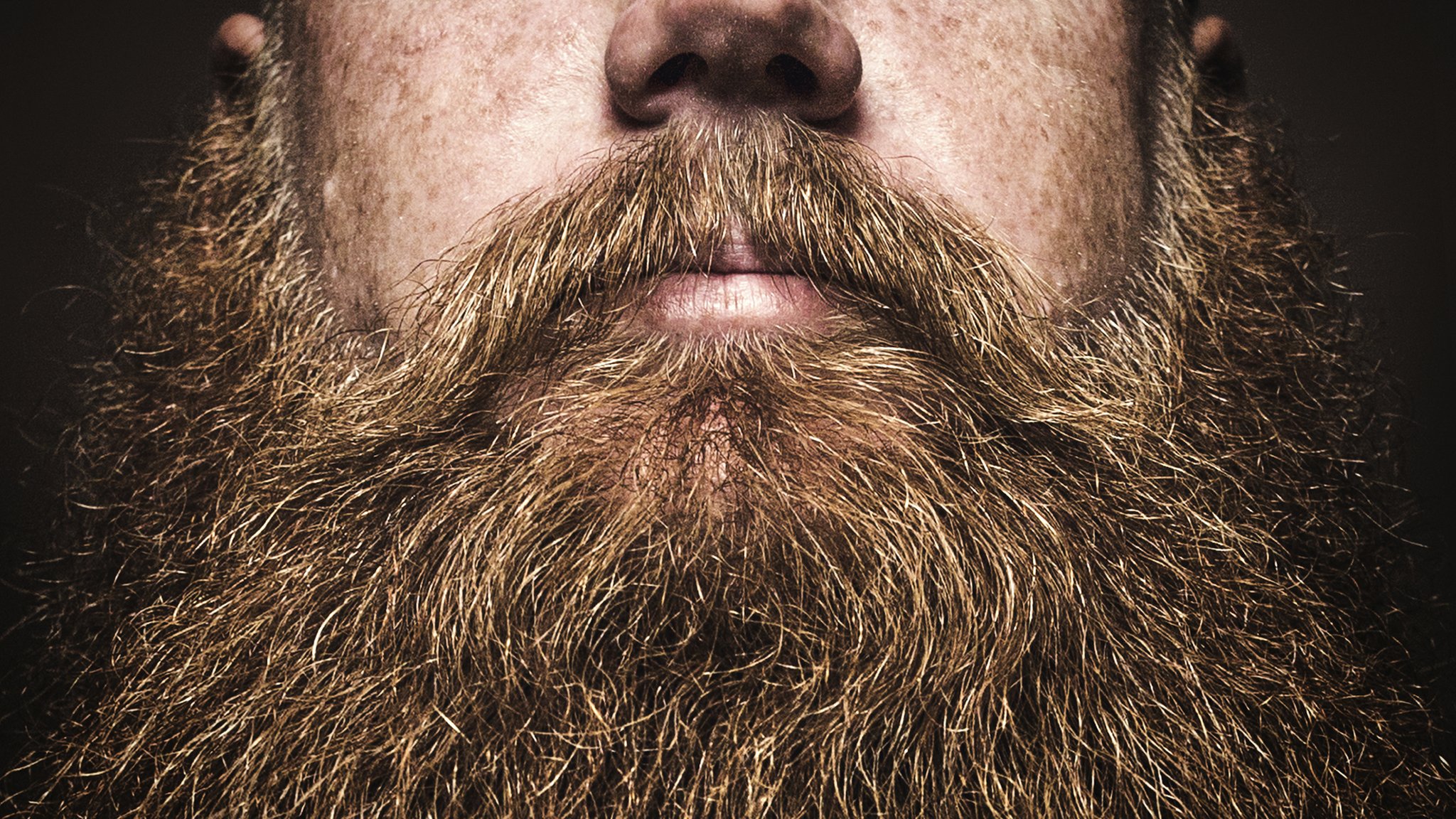 Detail Images Of Beards Nomer 2