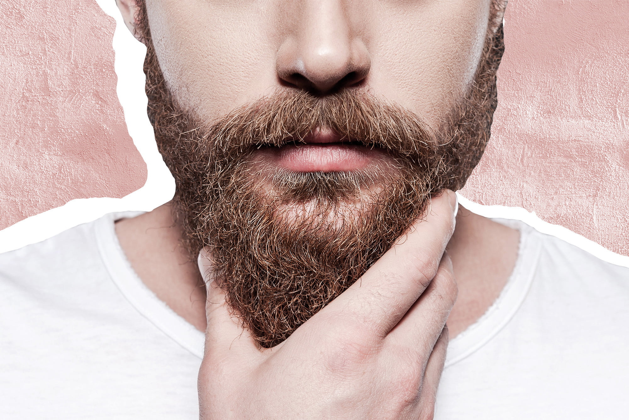 Detail Images Of Beards Nomer 28