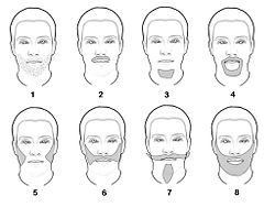Detail Images Of Beards Nomer 40