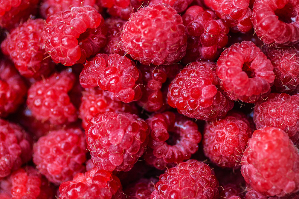 Detail Images Of Berries Nomer 48